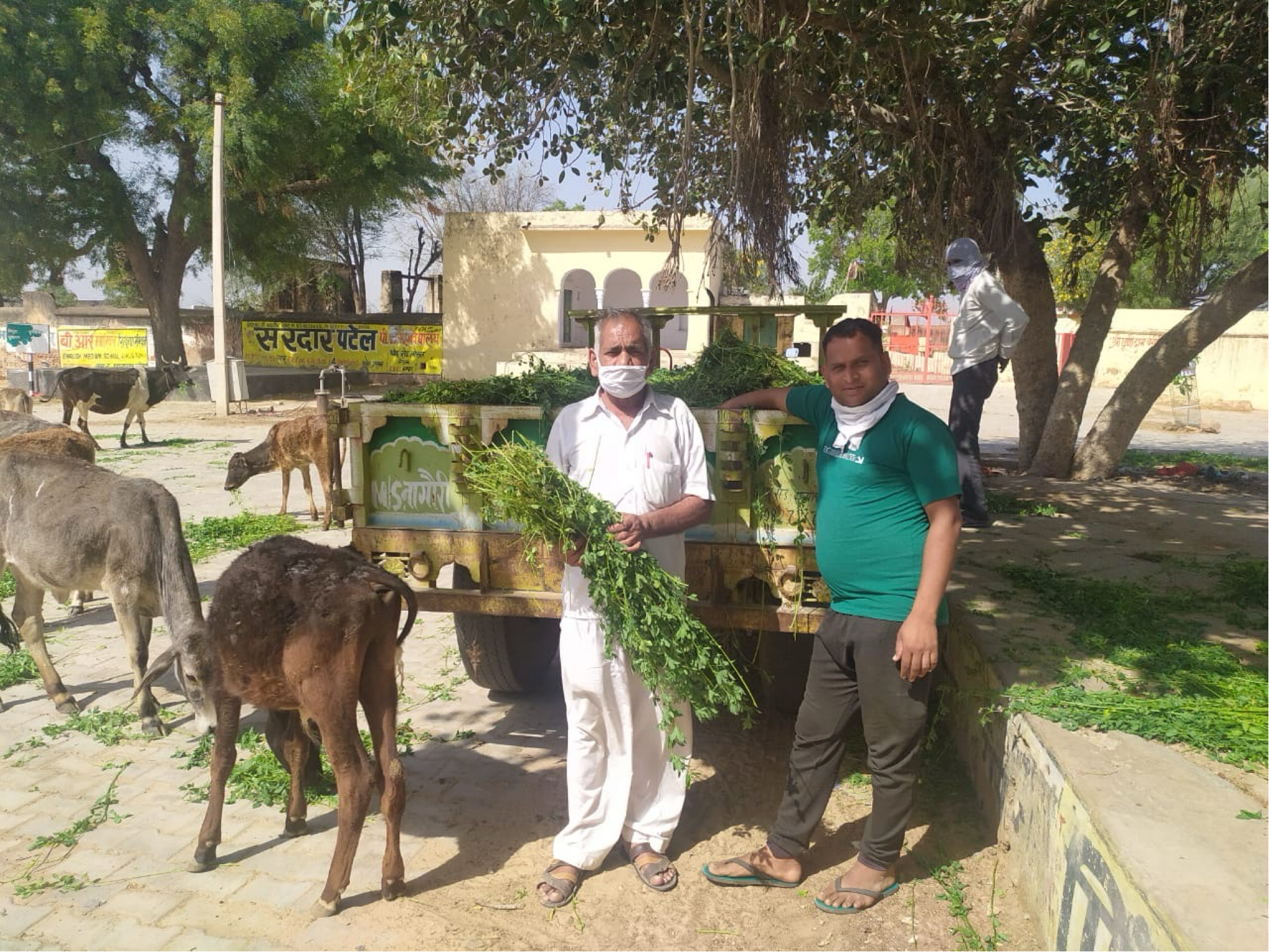 R P PANSARI JAN SEVA TRUST